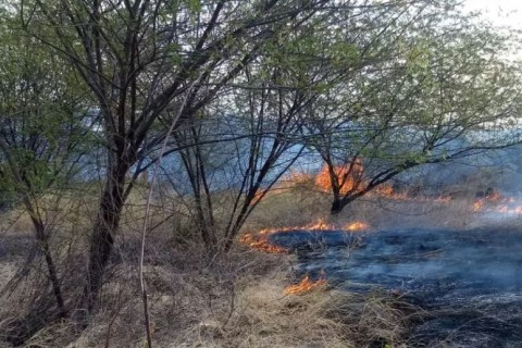 RN tem alta de 32% no número de incêndios em vegetação em 2023, aponta Corpo de Bombeiros