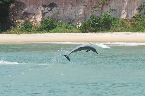 RN tem a terceira melhor praia da América do Sul